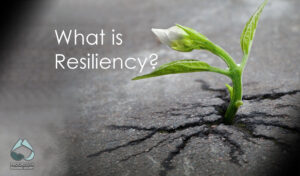 what is resiliency