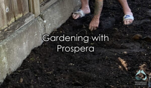 Decorative text for blog image over close up of dirt of community garden