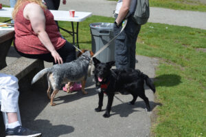 2024 Walk for Mental Health, two dogs